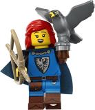 71037-falconer